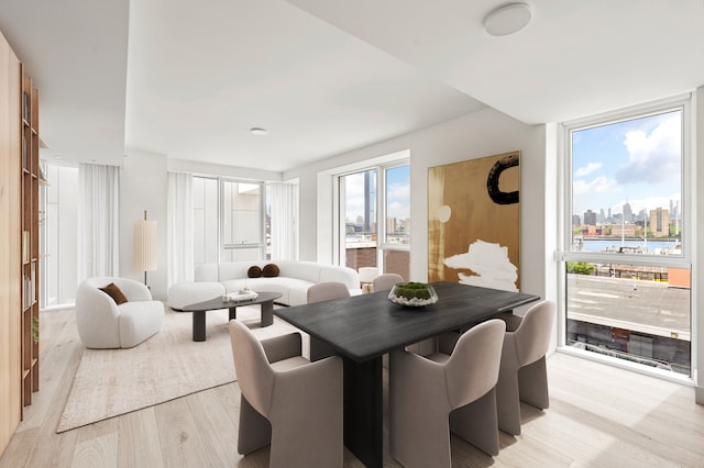 288 Water St Unit 4-B, New York City, NY 11201 - dining room featuring light wood-type flooring and a view of city
