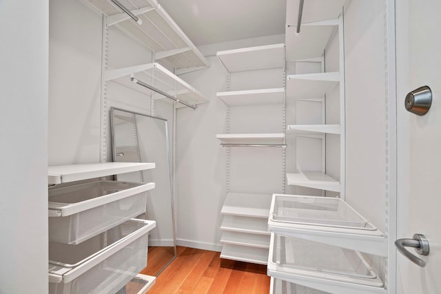 walk in closet featuring wood finished floors