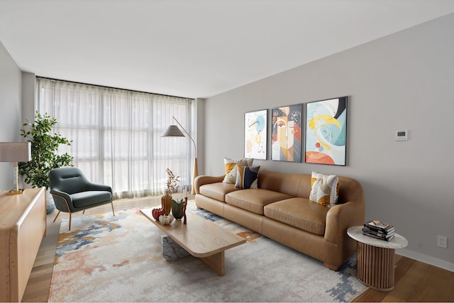 living room featuring wood finished floors, plenty of natural light, and baseboards