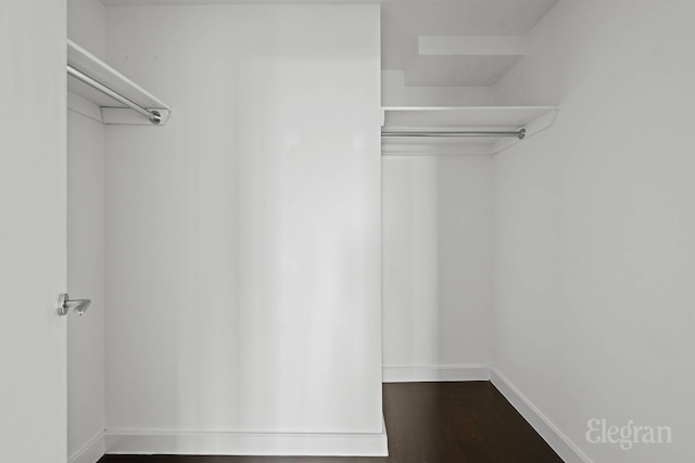 walk in closet featuring dark wood finished floors