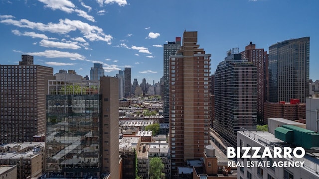 302 E 96th St Unit 502, New York City, NY 10128 - view of city skyline
