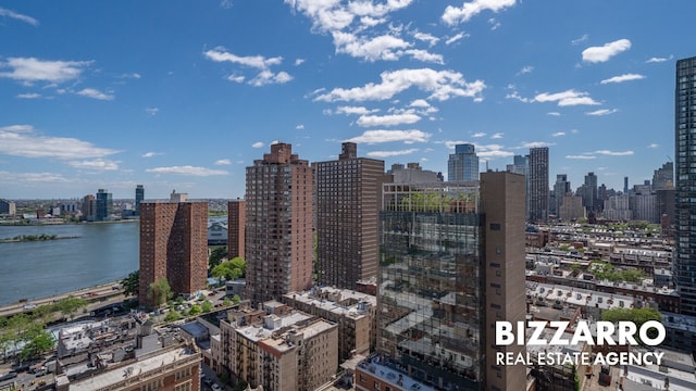 302 E 96th St Unit 502, New York City, NY 10128 - view of city skyline with a large body of water