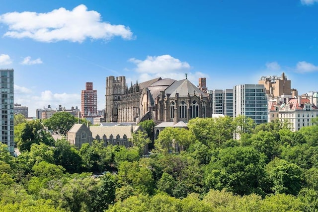 skyline view