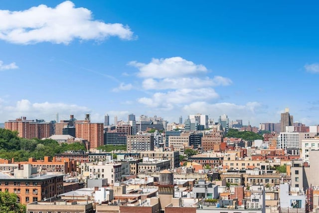 view of city skyline