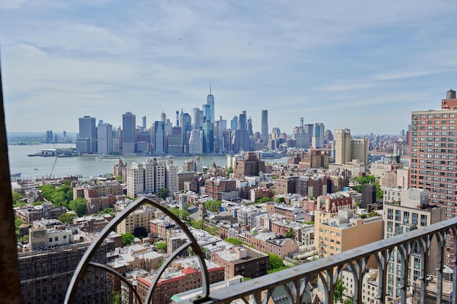 75 Livingston St Unit 28-A, New York City, NY 11201 - view of city skyline