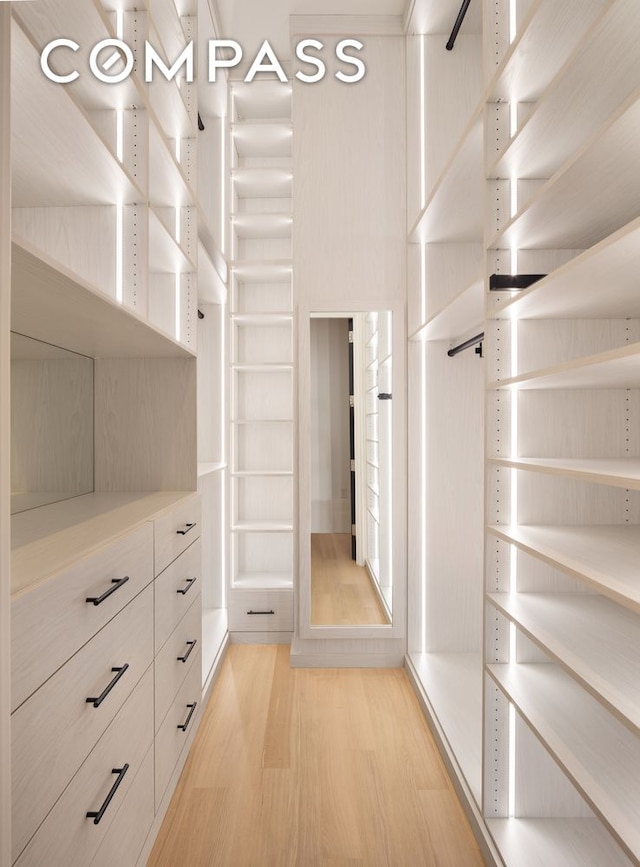 walk in closet with light wood finished floors