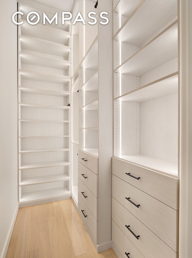 walk in closet with light wood-style flooring
