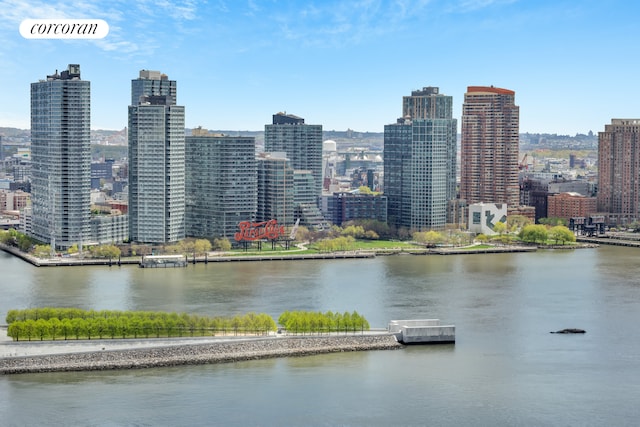 view of city skyline featuring a nearby body of water