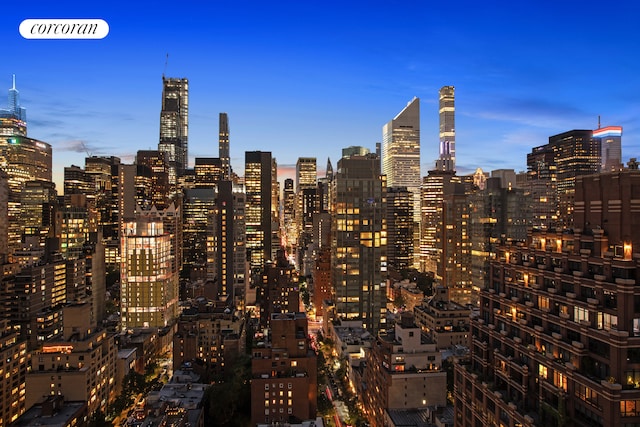 view of city skyline