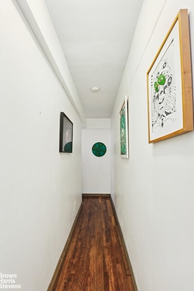 128 W 138th St Unit 3H, New York City, NY 10030 - hall featuring dark wood finished floors and baseboards