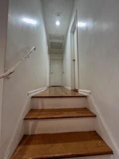 10567 Flatlands 7th St, New York City, NY 11236 - view of staircase