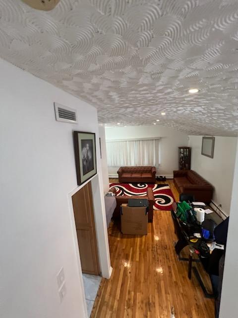 10567 Flatlands 7th St, New York City, NY 11236 - living room featuring vaulted ceiling and light wood finished floors