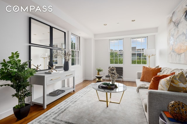 569 Carroll St Unit 9, New York City, NY 11215 - living area with plenty of natural light, wood finished floors, and baseboards