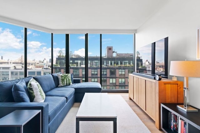 21-30 44th Dr Unit 7C, New York City, NY 11101 - living area featuring a city view, light wood-type flooring, and floor to ceiling windows