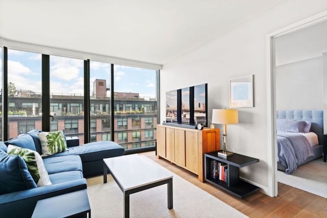21-30 44th Dr Unit 7C, New York City, NY 11101 - living room featuring light wood-type flooring, healthy amount of natural light, and a wall of windows