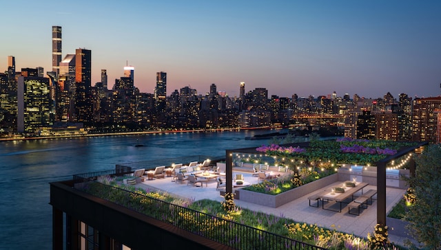 29 Huron St Unit 10Ae, New York City, NY 11222 - water view with skyline
