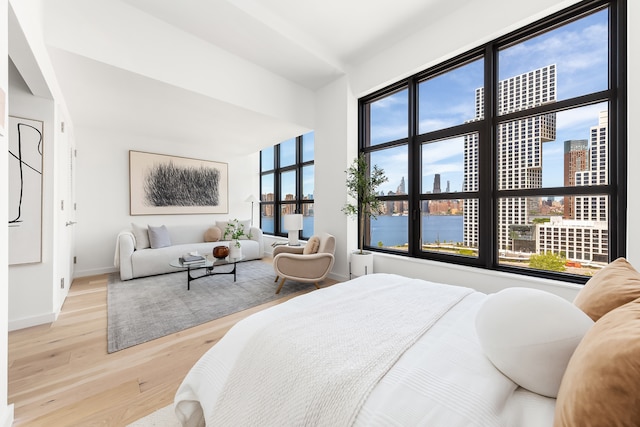 29 Huron St Unit 10Ae, New York City, NY 11222 - bedroom featuring wood finished floors, baseboards, and a city view