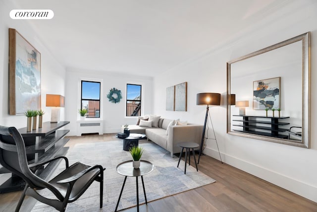 3000 Valentine Ave Unit 2B, New York City, NY 10458 - living area featuring wood finished floors, radiator, and baseboards