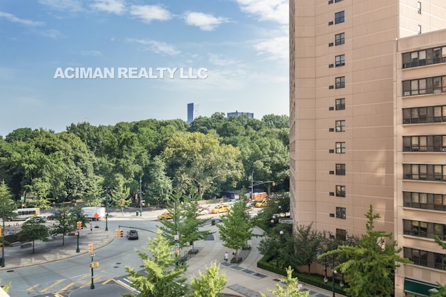 301 W 110th St Unit 6A, New York City, NY 10026 - view of city