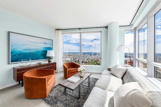 1 City Pt Unit 59E, New York City, NY 11201 - living area with baseboards and carpet floors