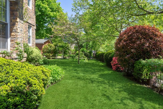 685 E 22nd St, New York City, NY 11210 - view of yard