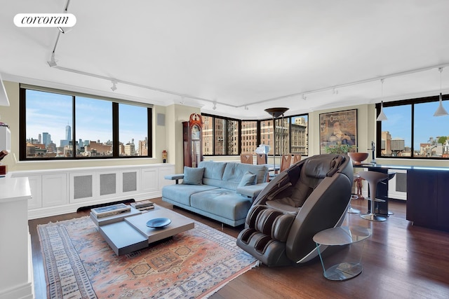 280 Park Ave S Unit 18Ef, New York City, NY 10010 - living room featuring track lighting, wood finished floors, radiator, and a skyline view