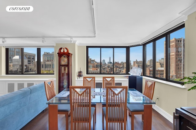 280 Park Ave S Unit 18Ef, New York City, NY 10010 - dining room featuring rail lighting, a view of skyline, wood finished floors, and baseboards