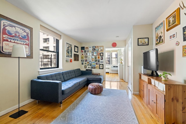 439 E 88th St Unit 5B, New York City, NY 10128 - living room with light wood-type flooring, plenty of natural light, and baseboards