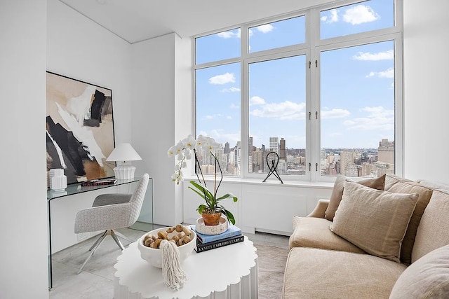 422 E 72nd St Unit 37Ad, New York City, NY 10021 - living room featuring a view of city