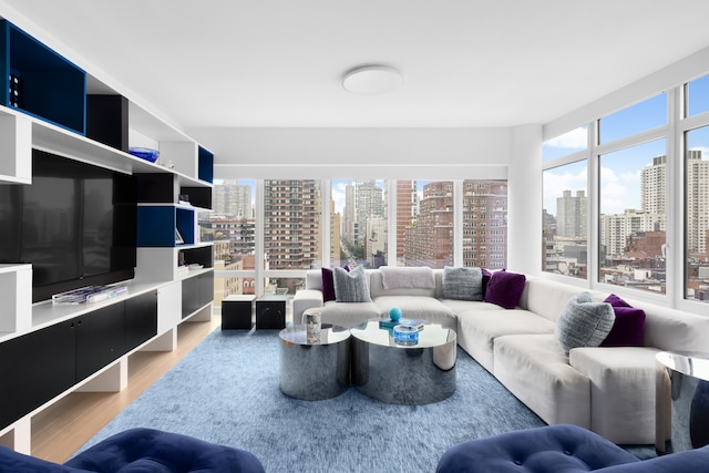 1355 1st Ave Unit 11Fl, New York City, NY 10021 - living area featuring a view of skyline and light wood-type flooring