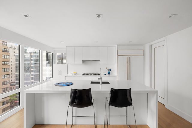 1355 1st Ave Unit 11Fl, New York City, NY 10021 - kitchen featuring modern cabinets, a sink, healthy amount of natural light, and white cabinetry