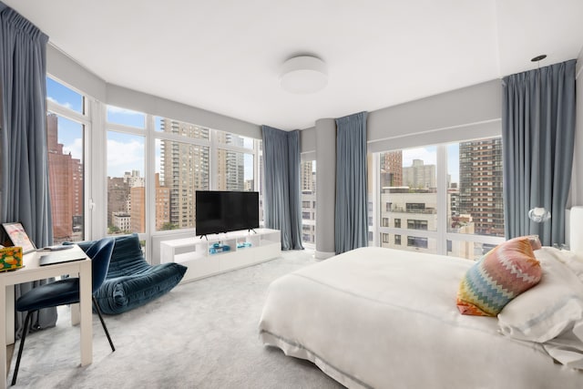 1355 1st Ave Unit 11Fl, New York City, NY 10021 - carpeted bedroom featuring multiple windows
