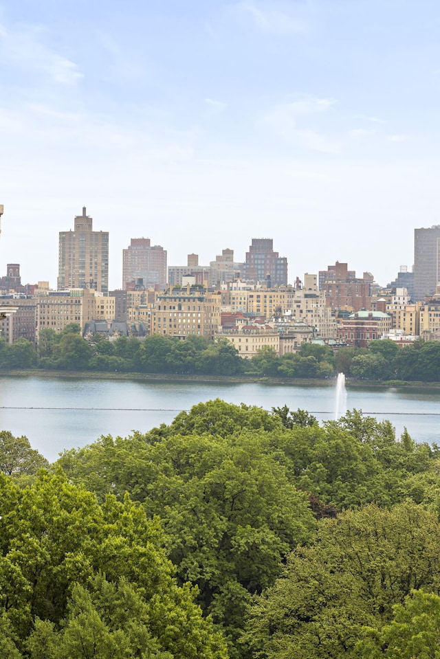 10 W 86th St Unit 15A, New York City, NY 10024 - water view featuring city skyline