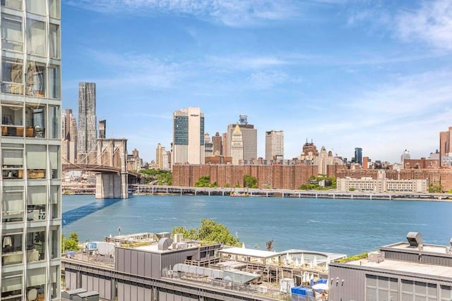 30 Main St Unit 11F, New York City, NY 11201 - water view with skyline
