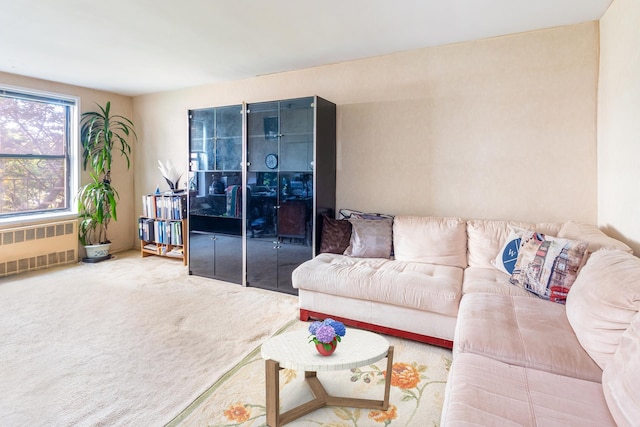 100-25 Queens Blvd Unit 2Aa, New York City, NY 11375 - living area featuring radiator and carpet floors