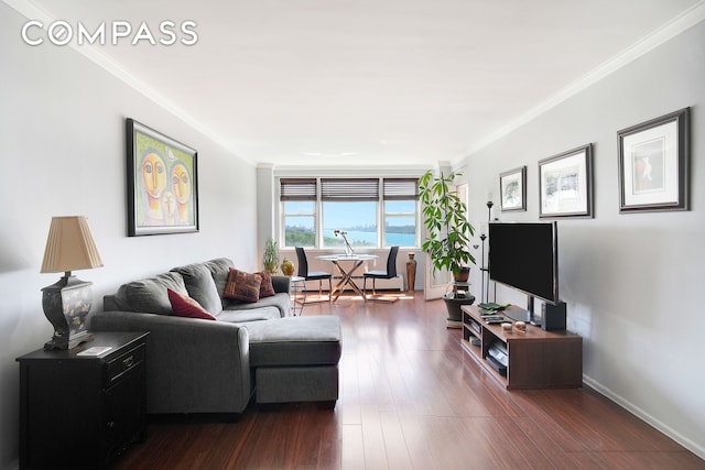 5700 Arlington Ave Unit 16T, New York City, NY 10471 - living room featuring crown molding, dark wood-style floors, and baseboards