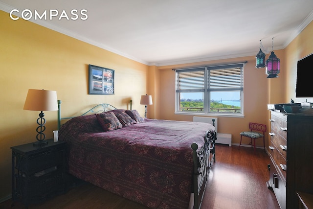 5700 Arlington Ave Unit 16T, New York City, NY 10471 - bedroom with ornamental molding, dark wood-style flooring, a baseboard radiator, and baseboards