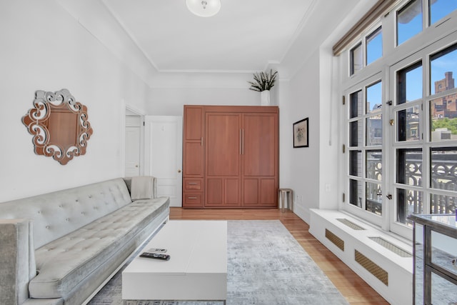2109 Broadway Unit 6135, New York City, NY 10023 - living room featuring light wood-style floors