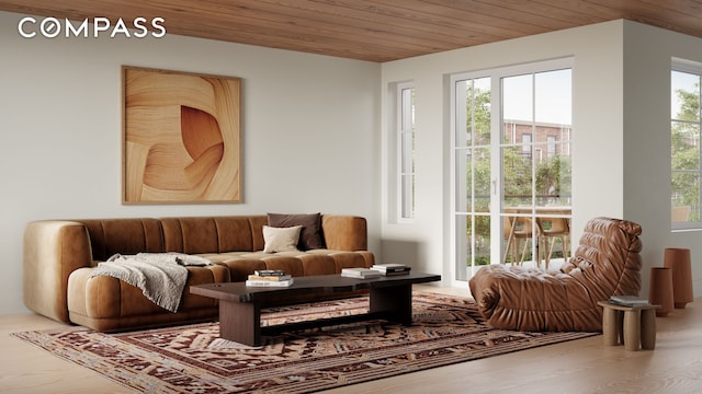 17 Douglass St, New York City, NY 11231 - living area featuring wood ceiling and wood finished floors