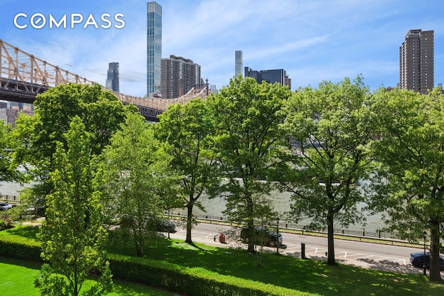 415 Main St Unit 4G, New York City, NY 10044 - view of property's community with a yard and a city view