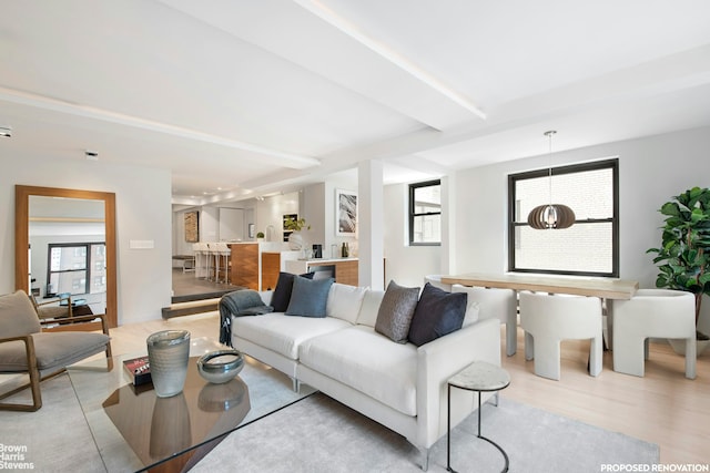 230 E 73rd St Unit 8Def, New York City, NY 10021 - living area featuring light wood-type flooring