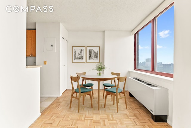 4-74 48th Ave Unit Ph2B, New York City, NY 11109 - dining area with radiator, a textured ceiling, and baseboards