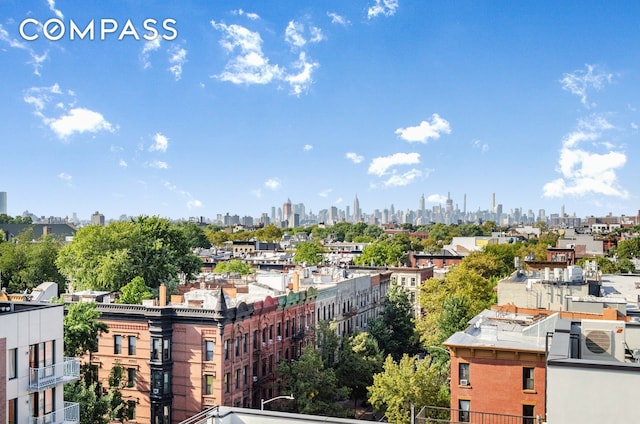 435 Tompkins Ave Unit 304S, New York City, NY 11216 - view of city skyline
