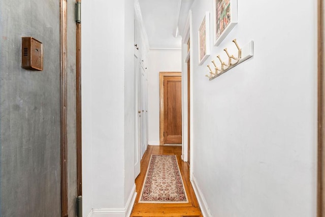 255 W 108th St Unit 2F, New York City, NY 10025 - hall featuring wood finished floors, baseboards, and crown molding