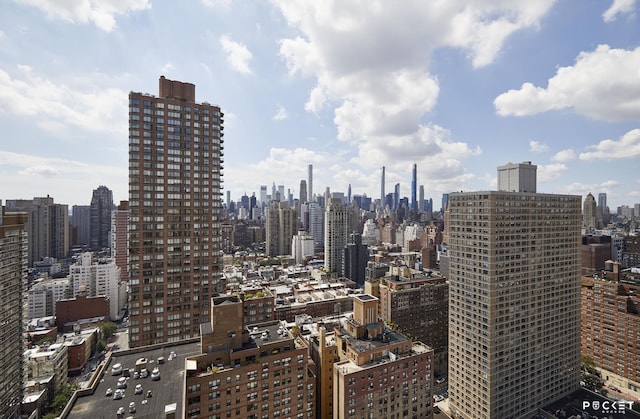 345 E 80th St Unit 5-L, New York City, NY 10075 - view of city skyline