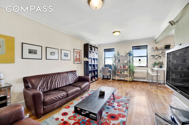 36 Russell St Unit 22, New York City, NY 11222 - living room with wood-type flooring and crown molding