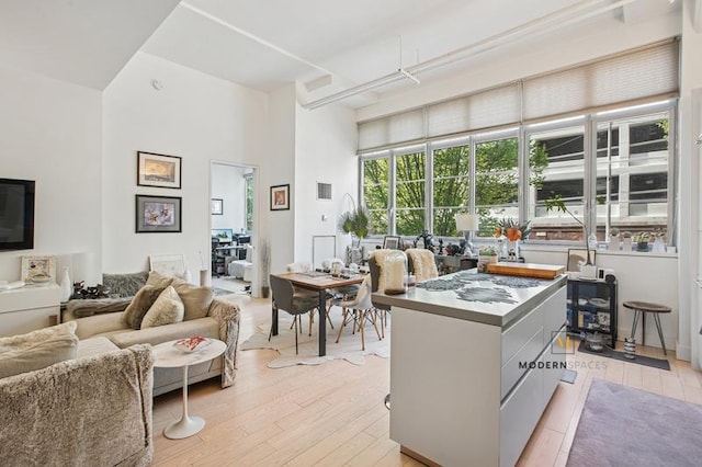 27-28 Thomson Ave Unit 135, New York City, NY 11101 - living room featuring light wood-style floors and a towering ceiling