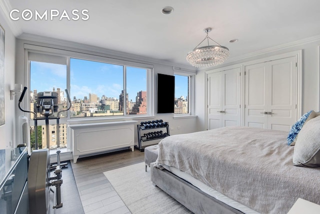 201 E 80th St Unit 16E, New York City, NY 10075 - bedroom with a chandelier, a view of skyline, multiple closets, crown molding, and wood finished floors