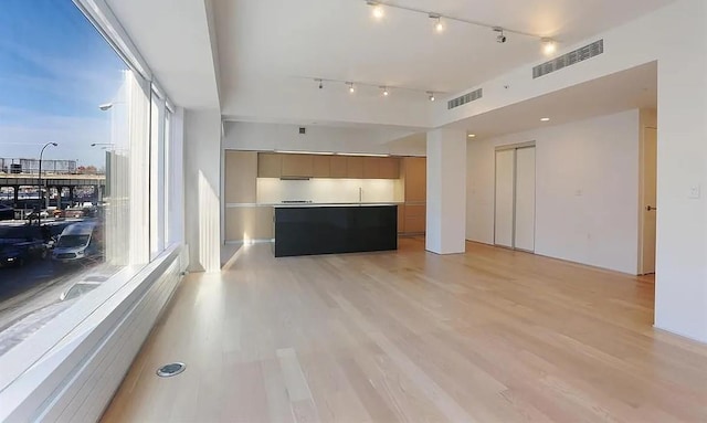 459 W 18th St Unit 2, New York City, NY 10011 - unfurnished living room with rail lighting, a sink, and light wood-style floors