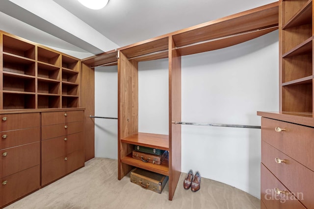 118 E 60th St Unit 33/32Duplex, New York City, NY 10022 - walk in closet featuring light carpet